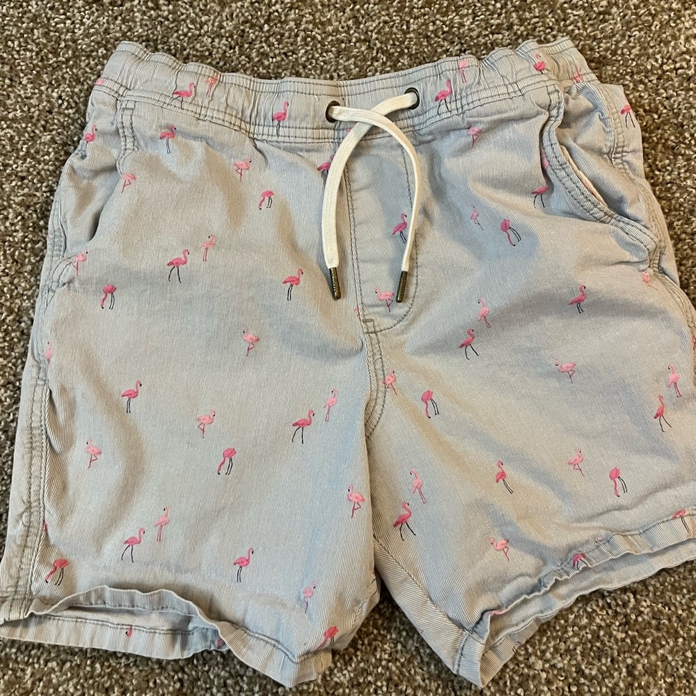 Hollister Mens Flamingo shorts
